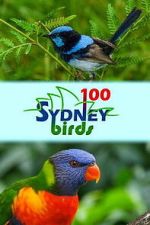 Watch 100 Sydney Birds M4ufreemovies