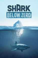 Watch Shark Below Zero M4ufreemovies