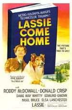 Watch Lassie Come Home M4ufreemovies