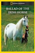 Watch Ballad of the Irish Horse M4ufreemovies