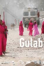 Watch Gulabi Gang M4ufreemovies