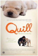 Watch Quill: The Life of a Guide Dog M4ufreemovies