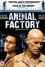 Watch Animal Factory M4ufreemovies