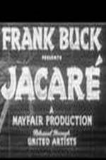 Watch Jacare M4ufreemovies