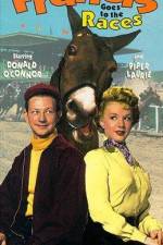 Watch Francis Goes to the Races M4ufreemovies