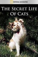 Watch The Secret Life of Cats M4ufreemovies