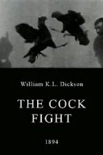 Watch The Cock Fight M4ufreemovies