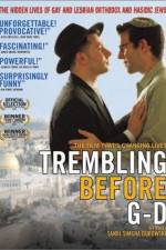 Watch Trembling Before G-d M4ufreemovies