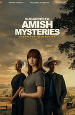 Watch Sugarcreek Amish Mysteries: Blessings in Disguise M4ufreemovies