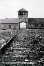 Watch AUSCHWITZ: FRENZIED KILLING M4ufreemovies