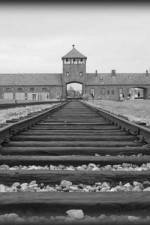 Watch AUSCHWITZ: ORDERS AND INITIATIVES M4ufreemovies