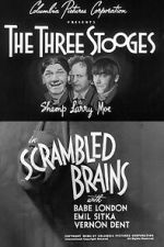 Watch Scrambled Brains M4ufreemovies