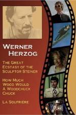 Watch Die große Ekstase des Bildschnitzers Steiner M4ufreemovies