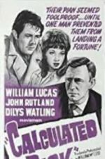 Watch Calculated Risk M4ufreemovies