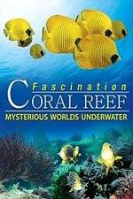 Watch Fascination Coral Reef: Mysterious Worlds Underwater M4ufreemovies