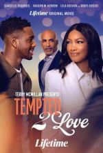 Watch Terry McMillan Presents: Tempted 2 Love M4ufreemovies