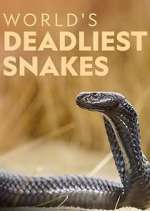 Watch World's Deadliest Snakes M4ufreemovies
