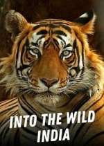 Watch Into the Wild India M4ufreemovies