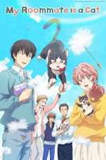 Watch My Roommate Is a Cat M4ufreemovies
