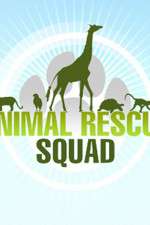 Watch Animal Rescue Squad M4ufreemovies