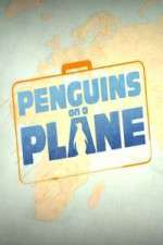 Watch Penguins on a Plane M4ufreemovies