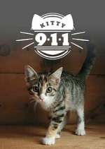 Watch Kitty 911 M4ufreemovies