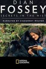 Watch Dian Fossey: Secrets in the Mist M4ufreemovies