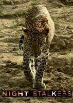 Watch Night Stalkers M4ufreemovies