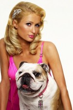 Watch Paris Hilton's British Best Friend M4ufreemovies