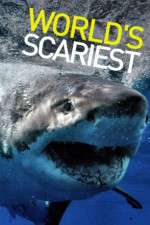 Watch World's Scariest... M4ufreemovies