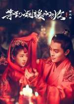 Watch Buried City to Shut All Lights M4ufreemovies