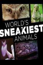 Watch World's Sneakiest Animals M4ufreemovies