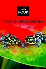 Watch Natures Microworlds M4ufreemovies