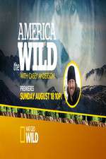 Watch America the Wild M4ufreemovies