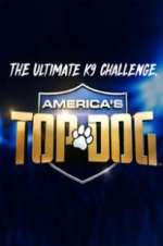 Watch America\'s Top Dog M4ufreemovies
