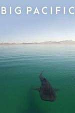 Watch Big Pacific M4ufreemovies