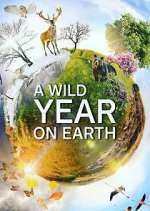 Watch A Wild Year on Earth M4ufreemovies