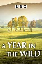 Watch A Year in the Wild M4ufreemovies