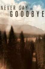 Watch Never Say Goodbye M4ufreemovies