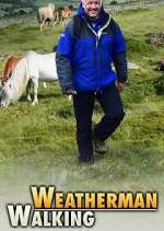 Watch Weatherman Walking M4ufreemovies