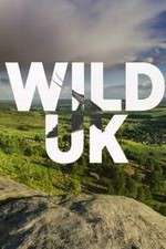 Watch Wild UK M4ufreemovies