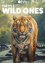 Watch The Wild Ones M4ufreemovies