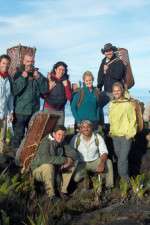 Watch Out Of The Wild: Venezuela M4ufreemovies