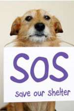Watch Save Our Shelter M4ufreemovies