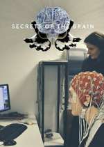 Watch Secrets of the Brain M4ufreemovies