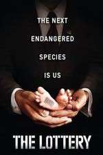 Watch The Lottery M4ufreemovies