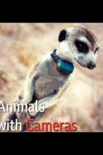 Watch Animals with Cameras M4ufreemovies