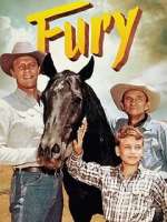 Watch Fury M4ufreemovies