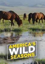 Watch America's Wild Seasons M4ufreemovies