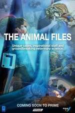 Watch The Animal Files M4ufreemovies